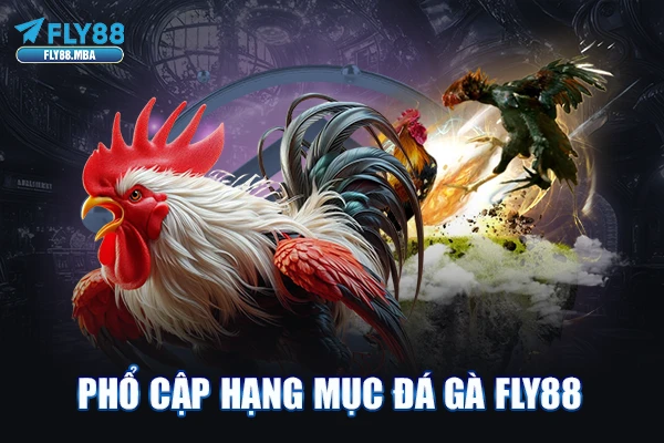 Phổ cập hạng mục Đá Gà Fly88